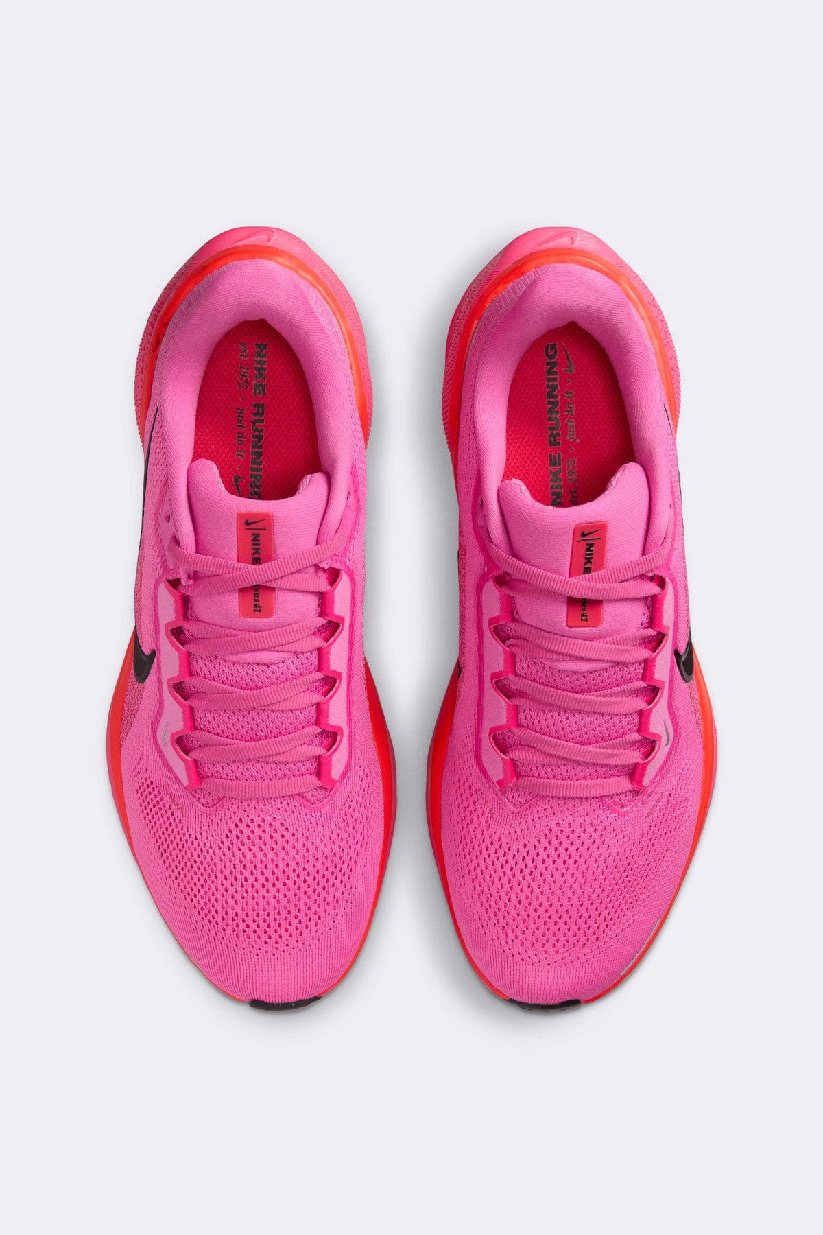 Nike Womens Pegasus 41