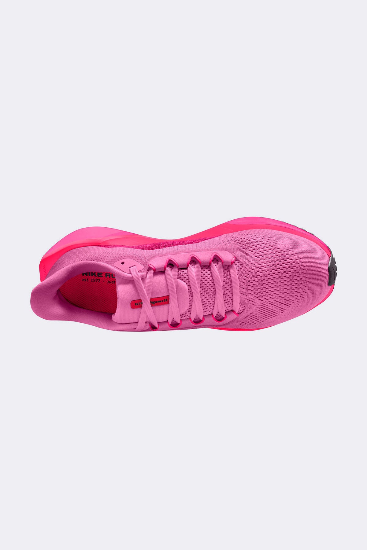 Nike Womens Pegasus 41