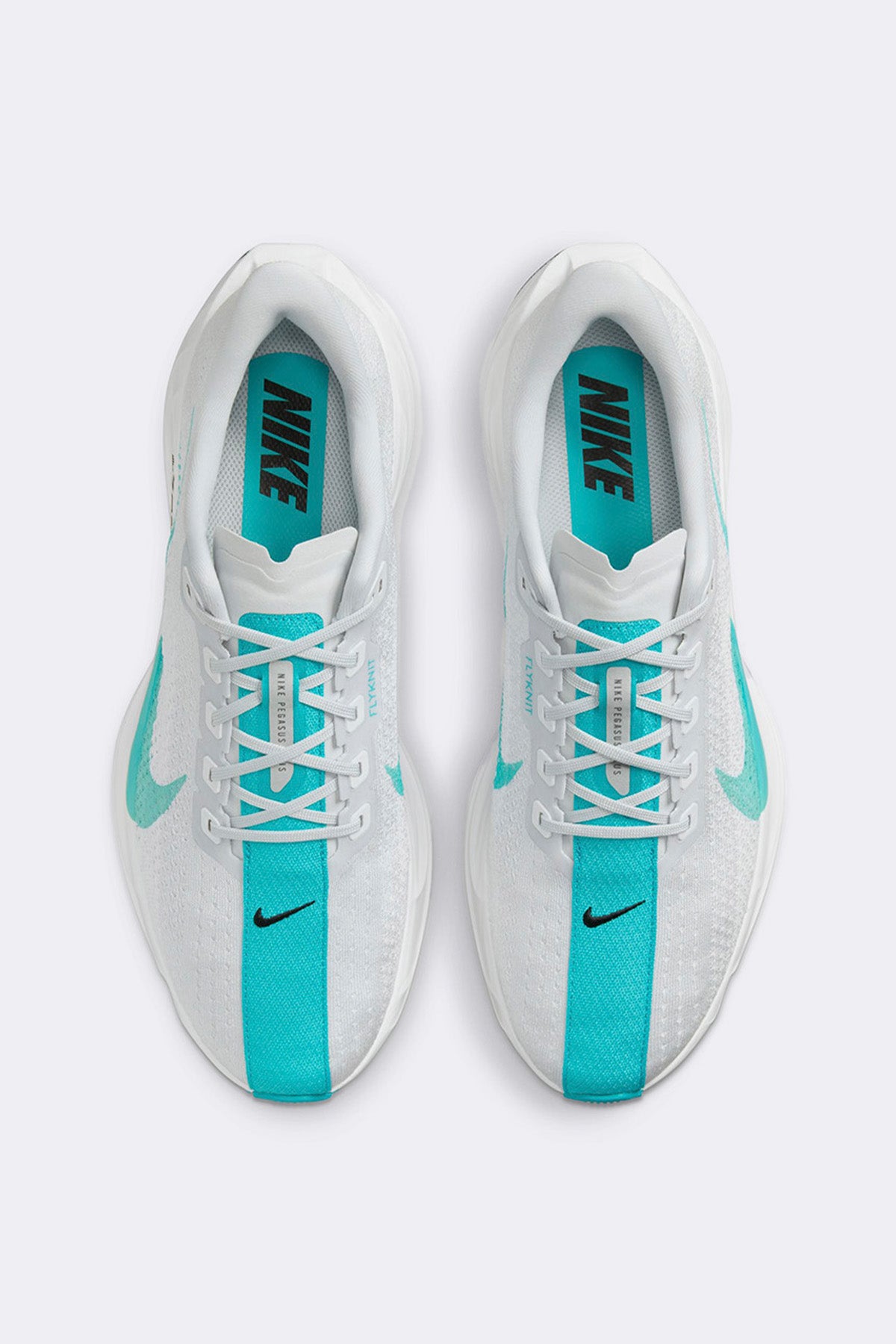 Nike Pegasus Plus