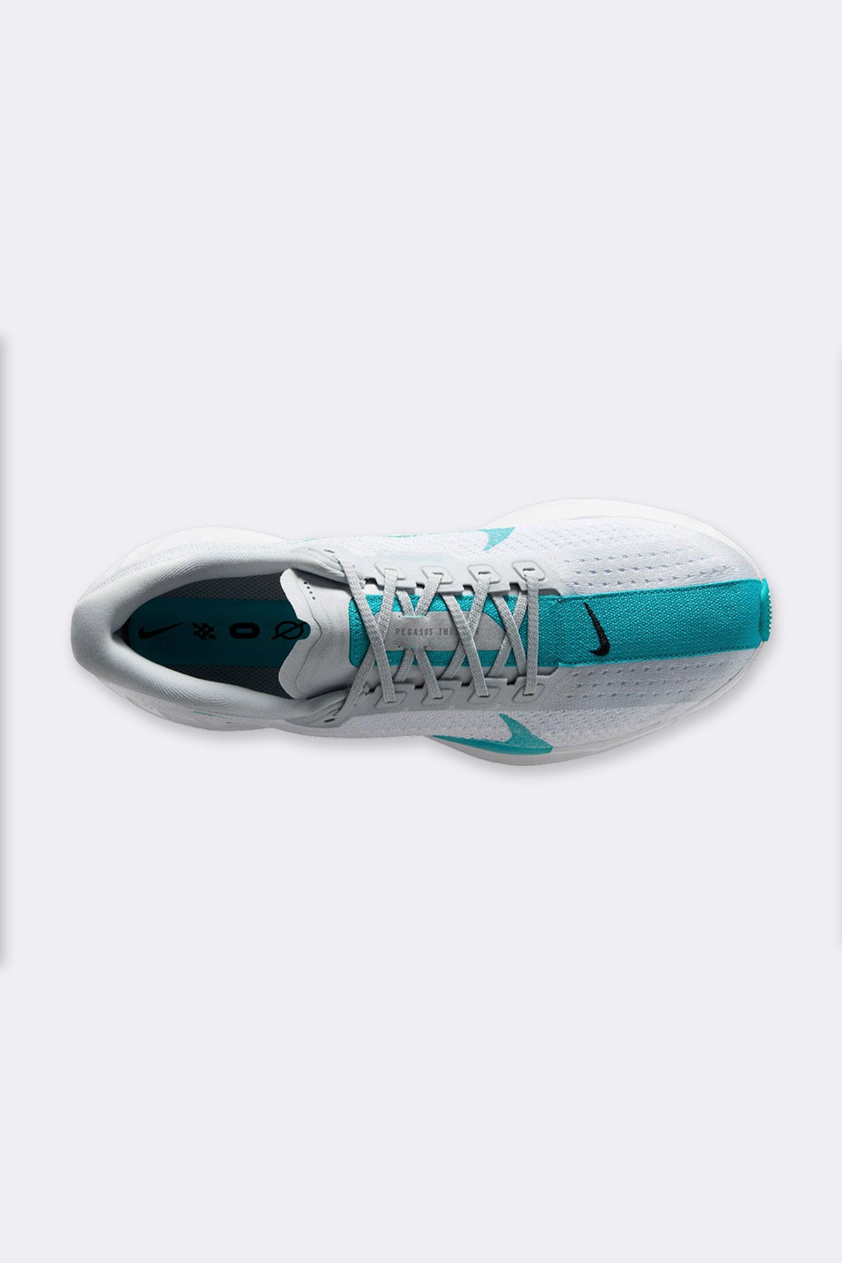 Nike Pegasus Plus