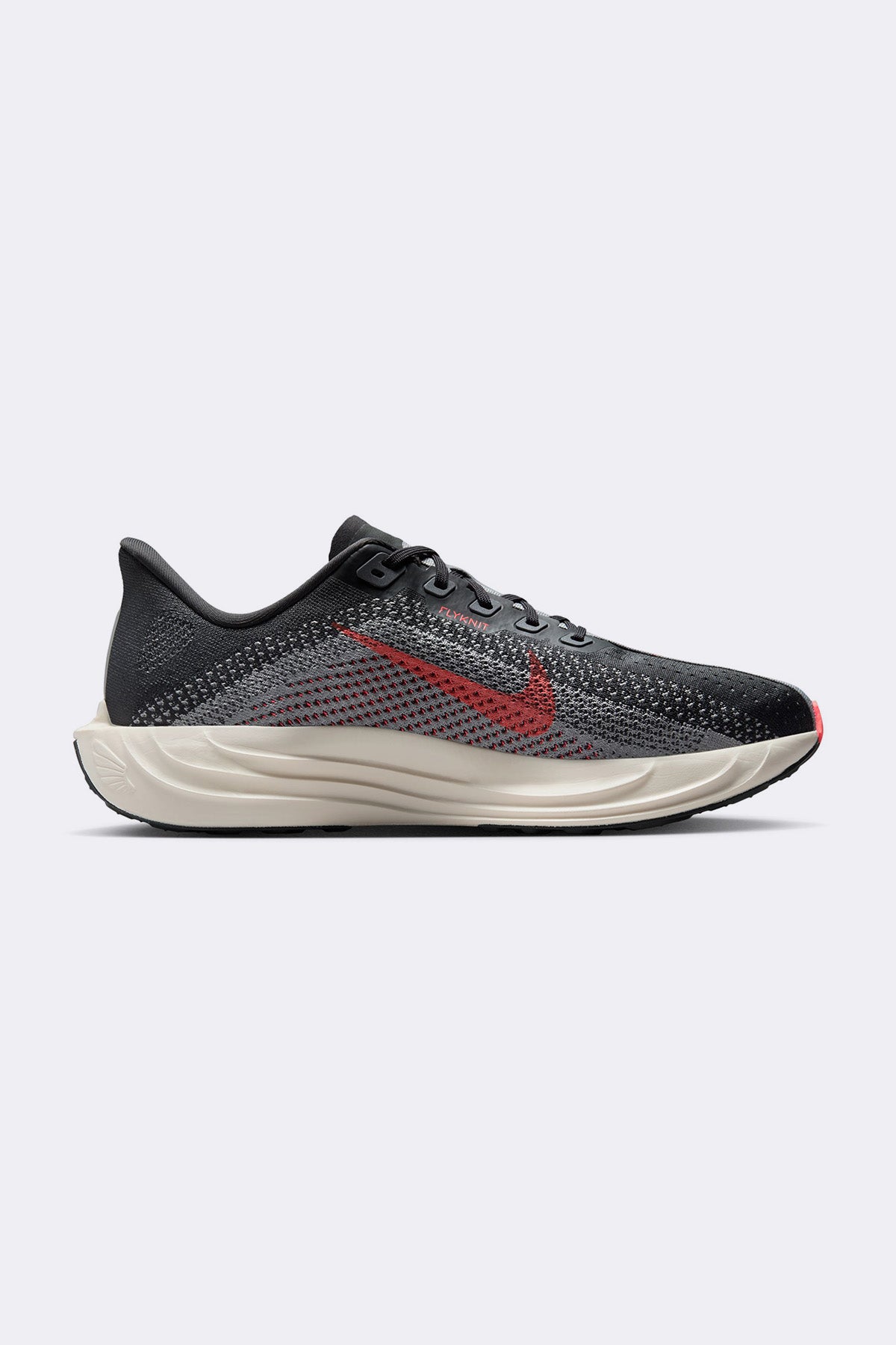 Nike Pegasus Plus