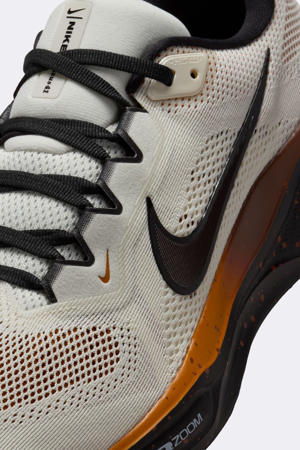 Nike Mens Pegasus 41