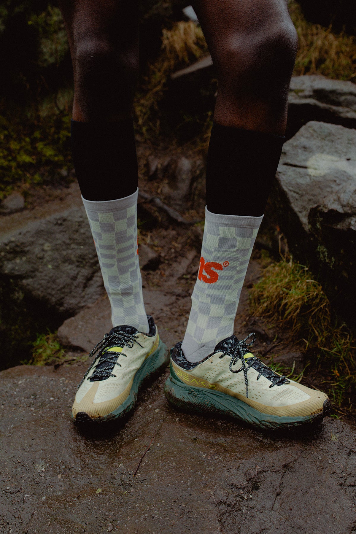 SUMS Checkers Crew Sock