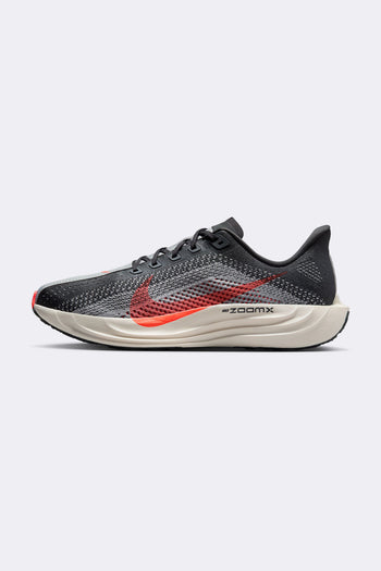 Nike Pegasus Plus