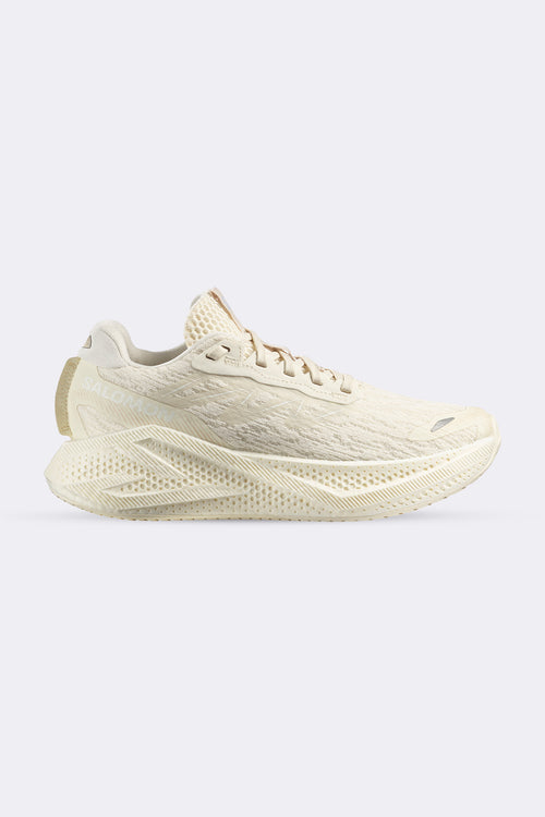 Salomon Aero Glide 4